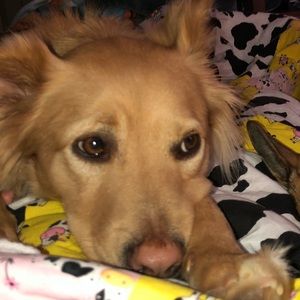 Meet your Posher, Dylan